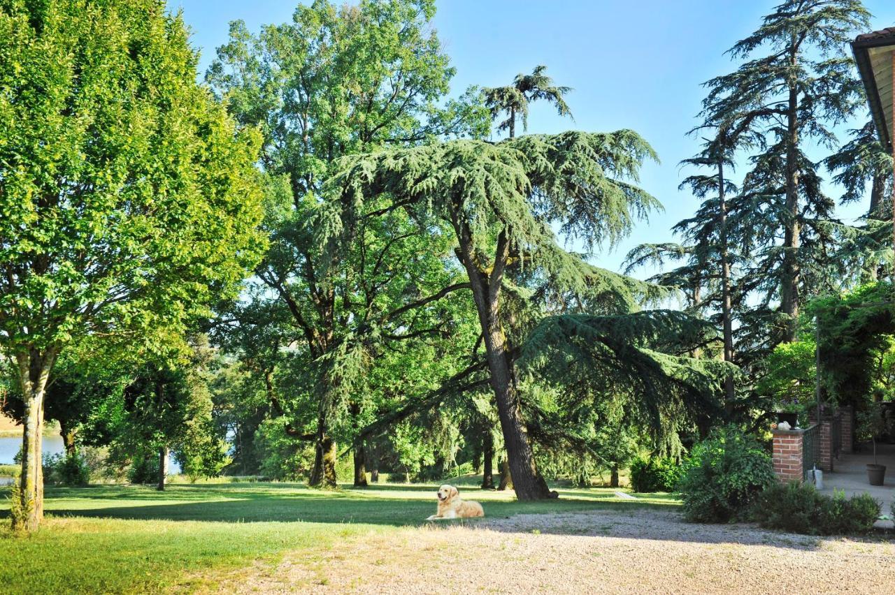 Clos Saint-Blaise Albi Exterior photo